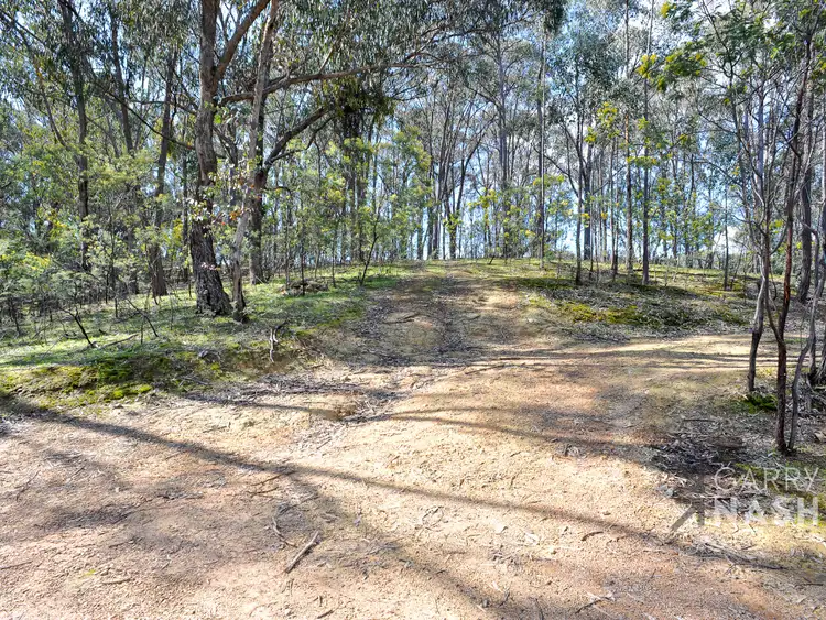 Fifth view of Homely rural property listing, 1053 Boggy Creek Road, Myrrhee VIC 3732