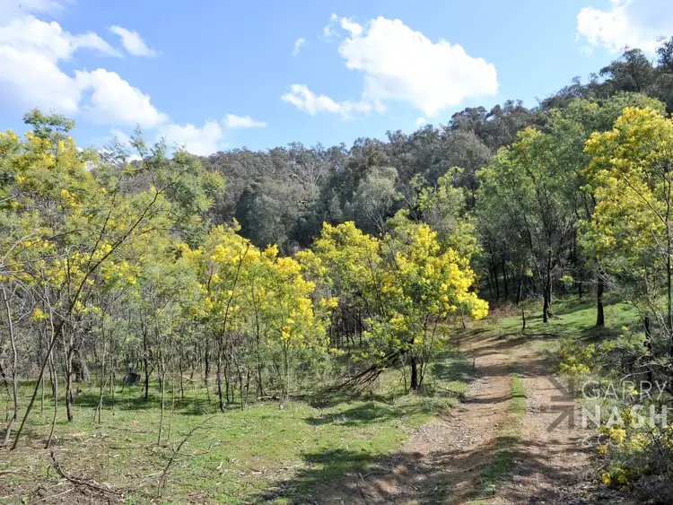 Sixth view of Homely rural property listing, 1053 Boggy Creek Road, Myrrhee VIC 3732