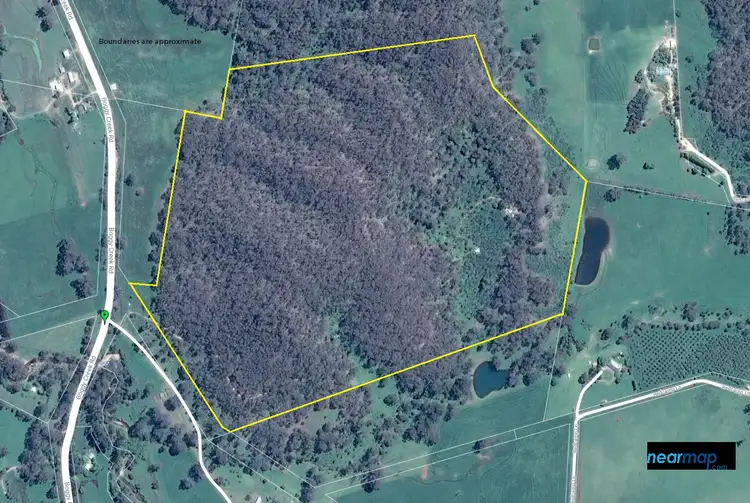 Seventh view of Homely rural property listing, 1053 Boggy Creek Road, Myrrhee VIC 3732