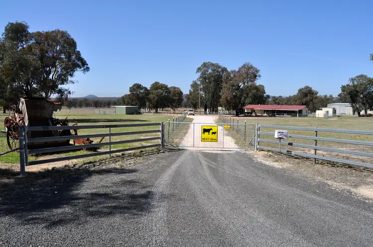 Main view of Homely rural property listing, 1318 Cope Road, Gulgong NSW 2852