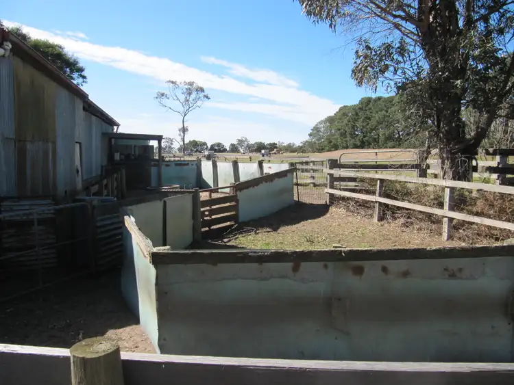Fifth view of Homely rural property listing, 240 Balgonie Lane, Stratford VIC 3862