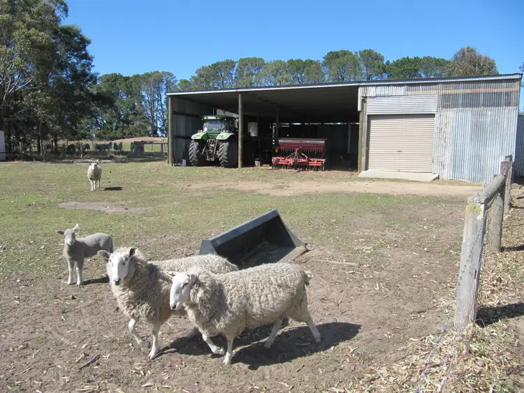 Sixth view of Homely rural property listing, 240 Balgonie Lane, Stratford VIC 3862
