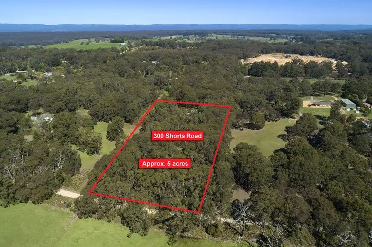 300 Shorts Road, Barongarook VIC 3249