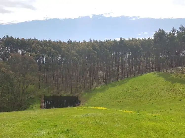 Sixth view of Homely land listing, LOT 4, 51 Barina Heights Road, Flowerdale VIC 3658