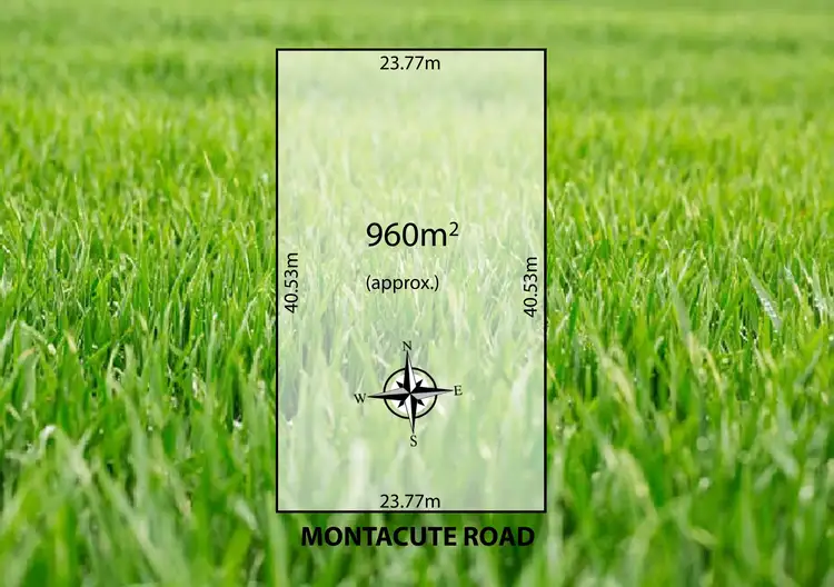 LOT 151 Montacute Road, Newton SA 5074