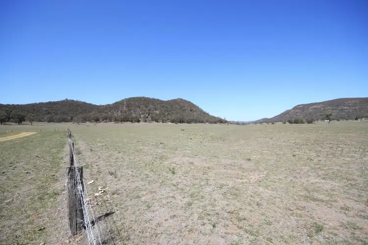 Lot 44, 42 Giants Creek Road, Sandy Hollow NSW 2333