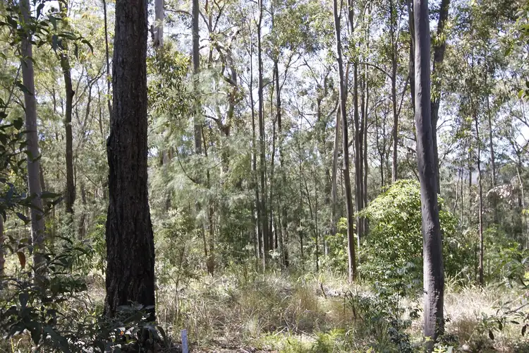 Fifth view of Homely land listing, 48 Round Hill Crescent, Karuah NSW 2324