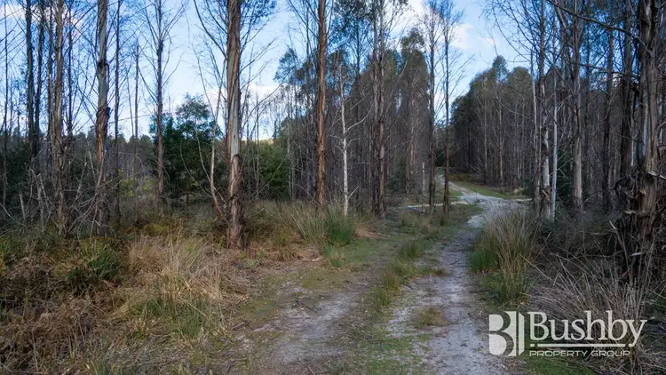 Seventh view of Homely land listing, 240 Tattersalls Road, Beaconsfield TAS 7270