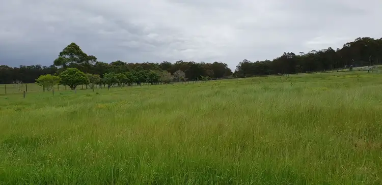 Second view of Homely rural property listing, 220 Fotheringay Road, Clarence Town NSW 2321