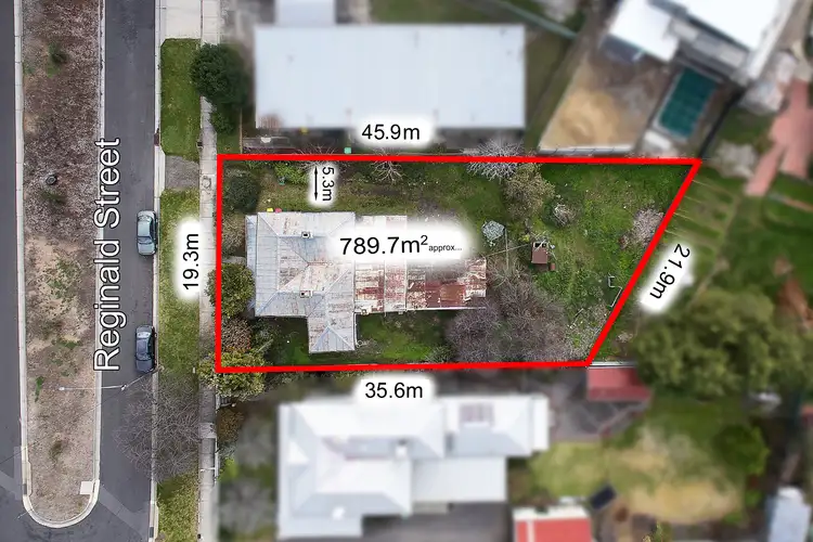 19 Reginald Street, Quarry Hill VIC 3550