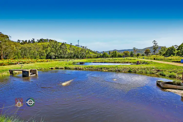Fifth view of Homely house listing, LOT 4, 10 Banbury Road, Murrindindi VIC 3717