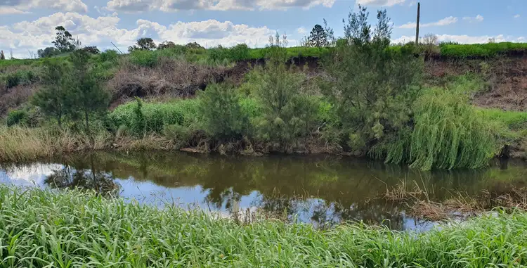 Second view of Homely house listing, 41 Azalea Street, Emu Vale QLD 4371