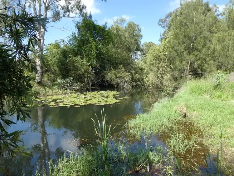 Third view of Homely rural property listing, 59 Airstrip Road, Biggenden QLD 4621