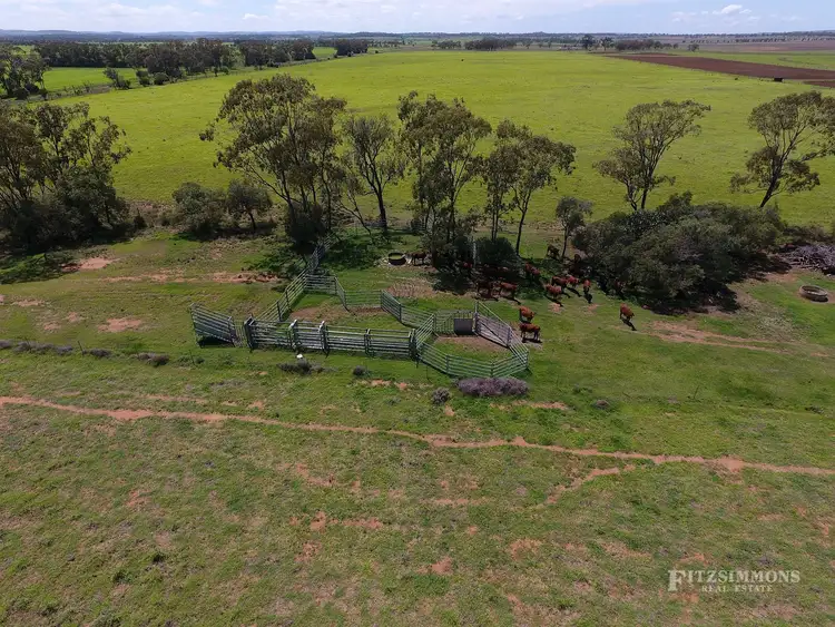 Seventh view of Homely rural property listing, 196 Brymaroo Irvingdale Road, Brymaroo QLD 4403