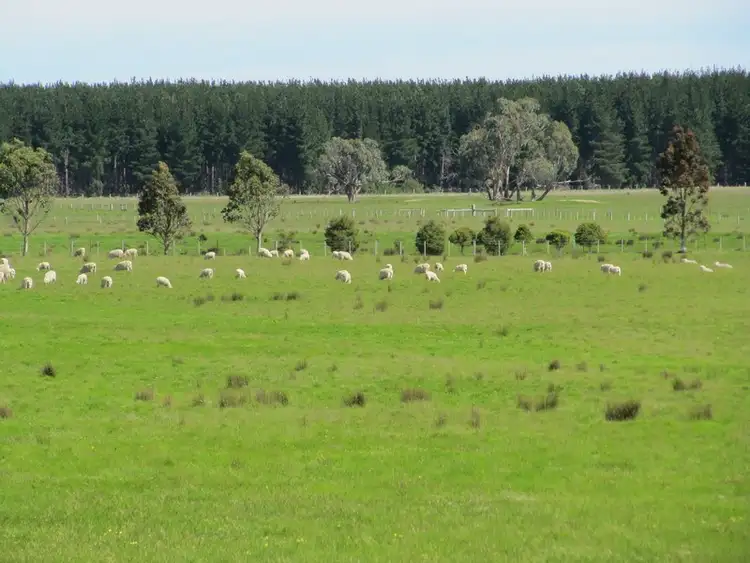 Seventh view of Homely rural property listing, 355 Bradleys Road, Stradbroke VIC 3851