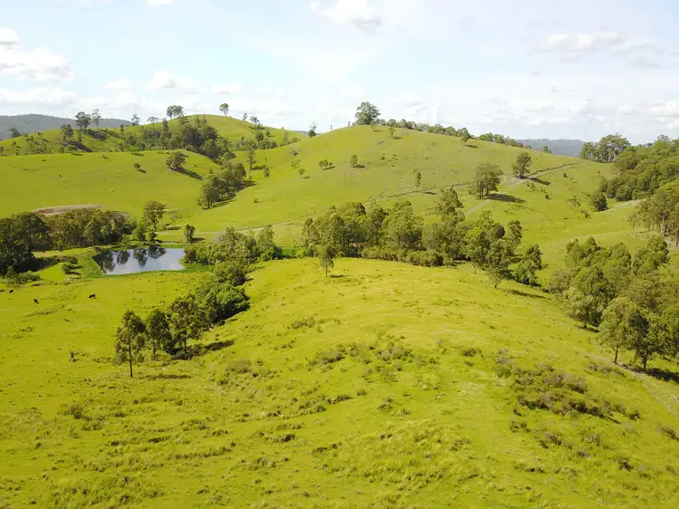Sixth view of Homely rural property listing, LOT 1, 937 Flat Tops Road, Cambra Via, Dungog NSW 2420
