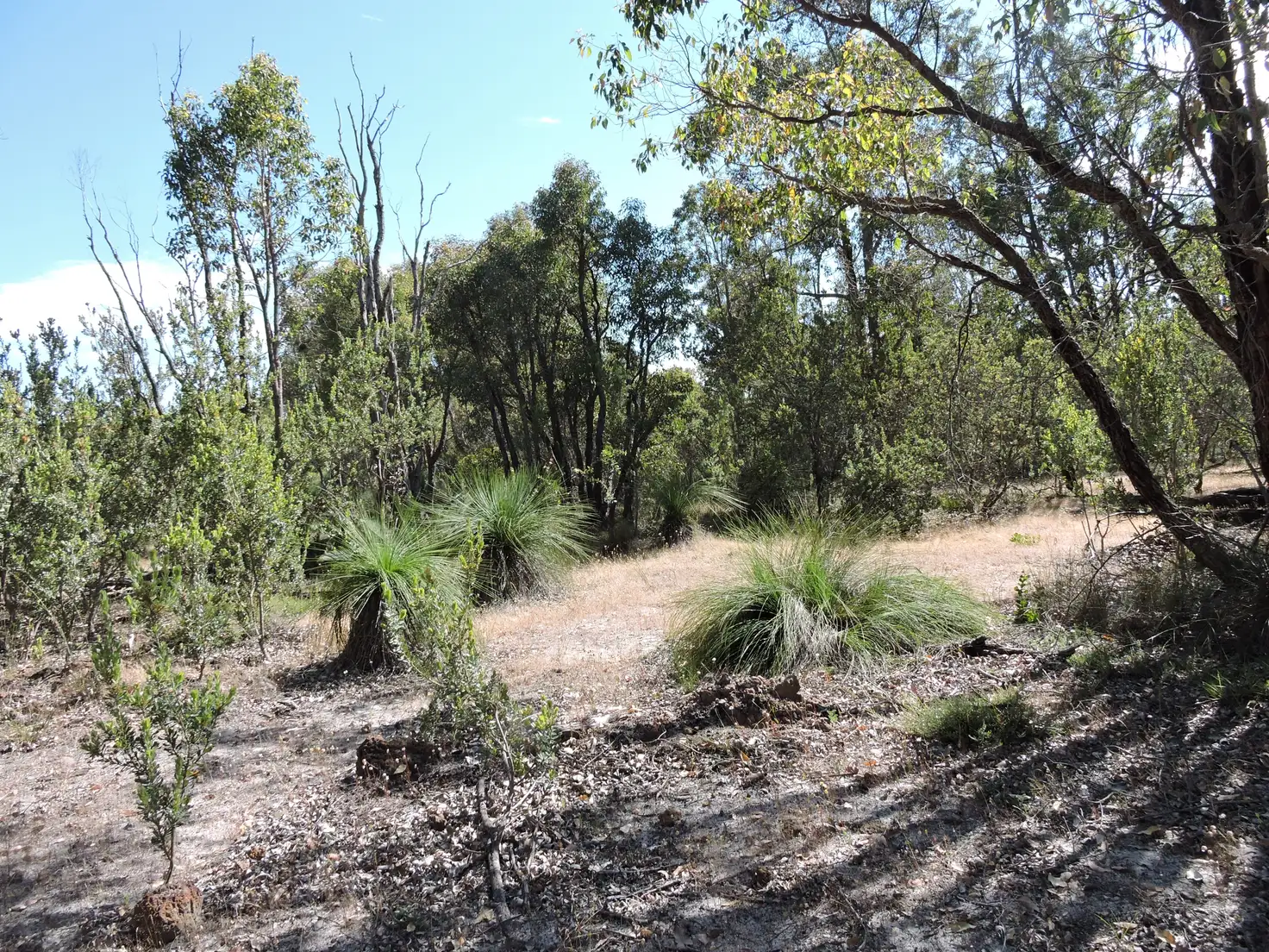 Main view of Homely rural property listing, LOT 801 Talbot West Road, York WA 6302