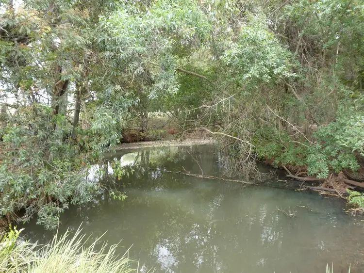 Third view of Homely rural property listing, LOT 4 SOUTH ISIS ROAD, South Isis QLD 4660