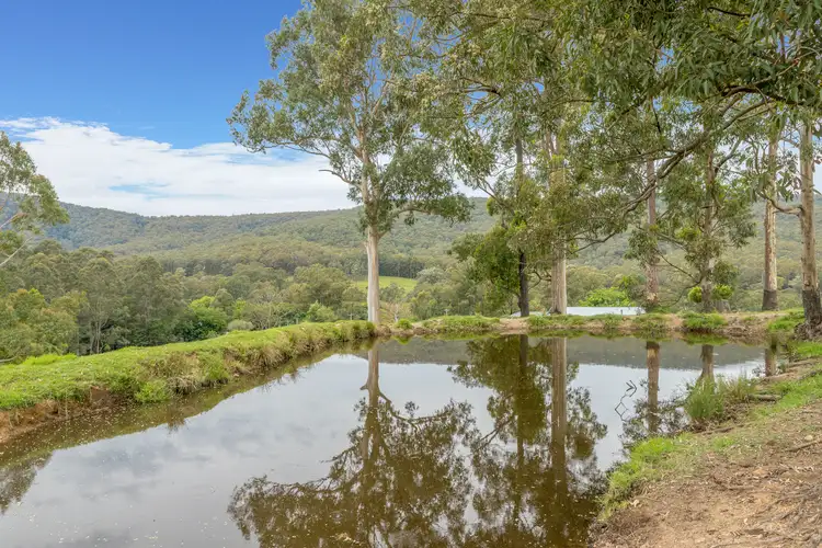Third view of Homely rural property listing, 689 Main Creek Road, Dungog NSW 2420