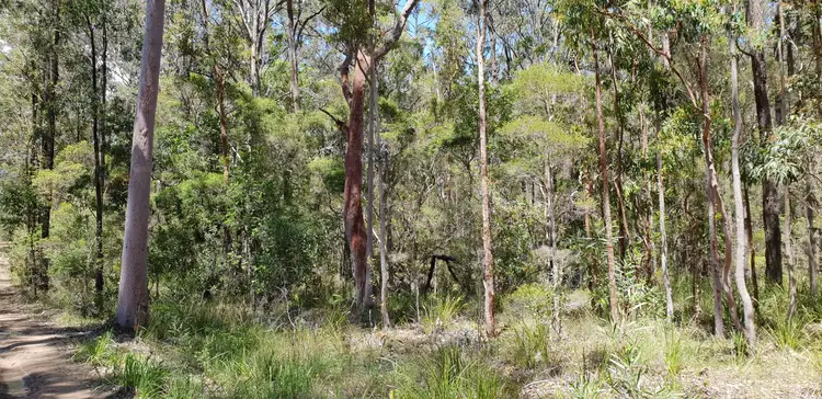 Fourth view of Homely rural property listing, Lot 11 Alderley Lane, Booral NSW 2425