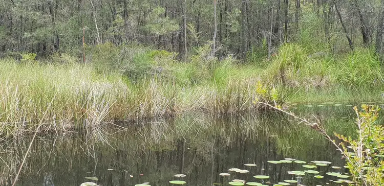 Fifth view of Homely rural property listing, Lot 11 Alderley Lane, Booral NSW 2425