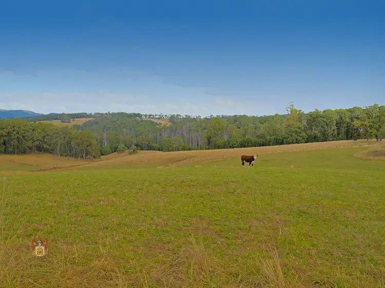 Fifth view of Homely house listing, 42E Murrays Road, Kinglake VIC 3763