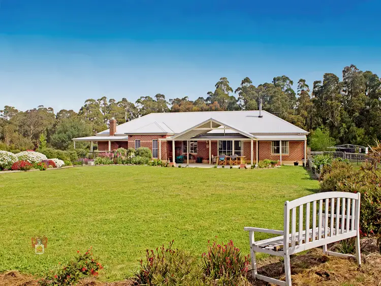 Main view of Homely house listing, 3113 Healesville-Kinglake Road, Kinglake VIC 3763