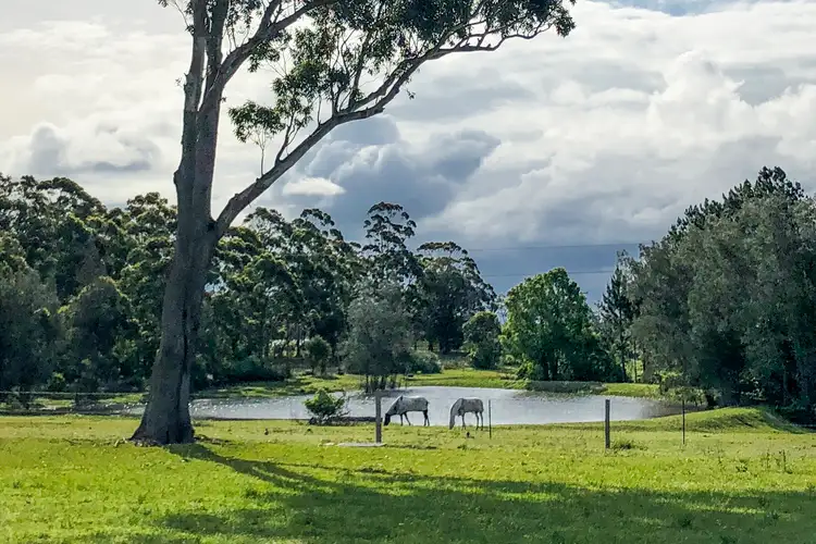 Main view of Homely land listing, 4 Pastures Drive, Medowie NSW 2318