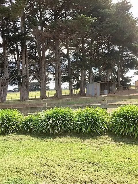 Sixth view of Homely rural property listing, 699 Clydebank Road, Clydebank VIC 3851