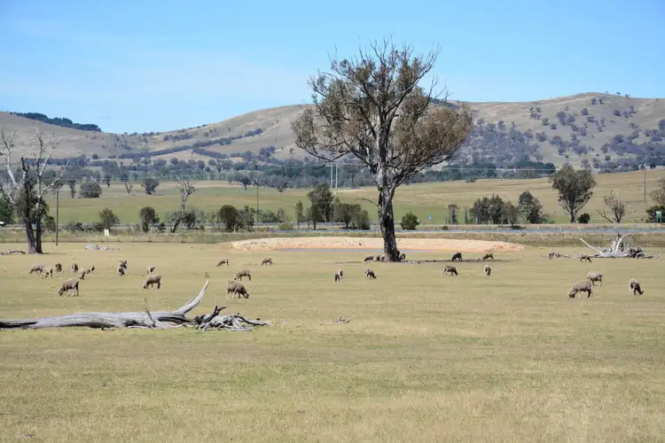 Third view of Homely land listing, 72 Burley Griffin Way, Bowning NSW 2582