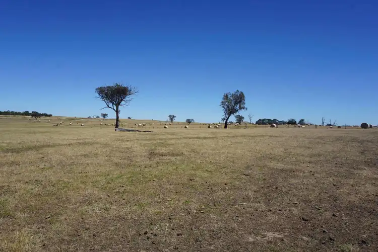 Sixth view of Homely land listing, 72 Burley Griffin Way, Bowning NSW 2582