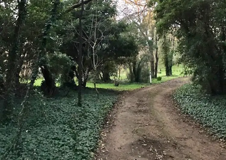 Sixth view of Homely rural property listing, 11 Argos Road, Portland VIC 3305