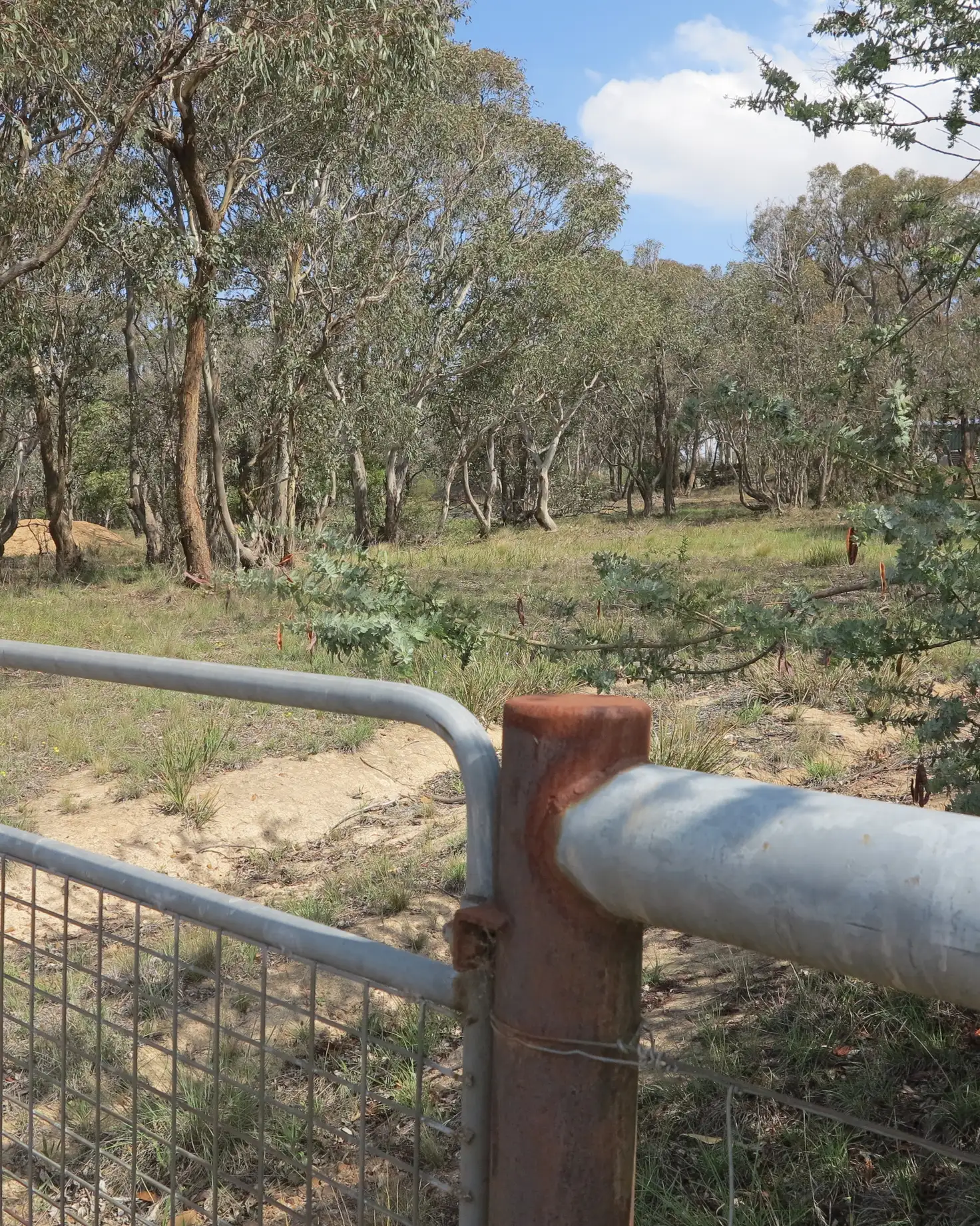 Main view of Homely land listing, LOT 283 & 282 Addison Street, Goulburn NSW 2580