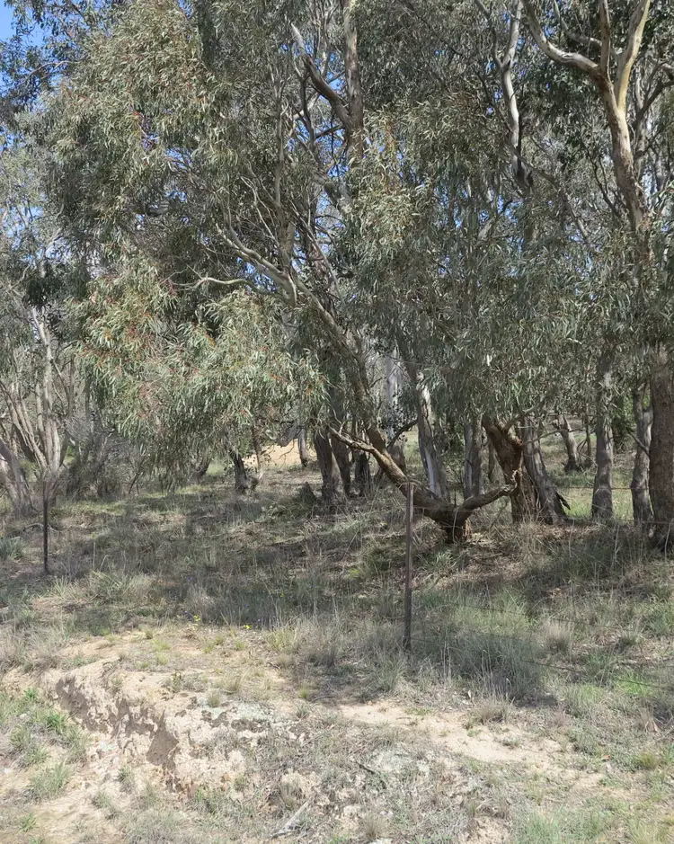 Fourth view of Homely land listing, LOT 283 & 282 Addison Street, Goulburn NSW 2580