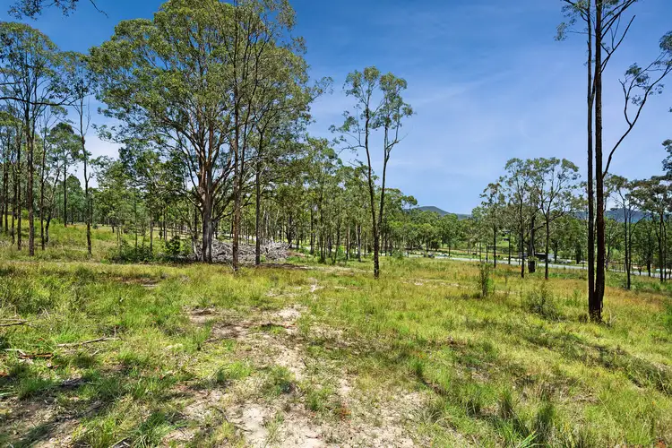 Third view of Homely rural property listing, 438 Dungog Road, Martins Creek NSW 2420