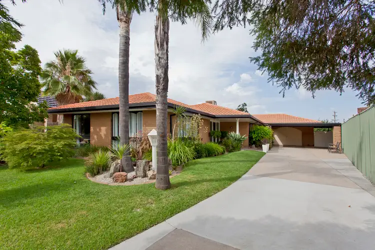 Main view of Homely house listing, 427 Romani Drive, Lavington NSW 2641