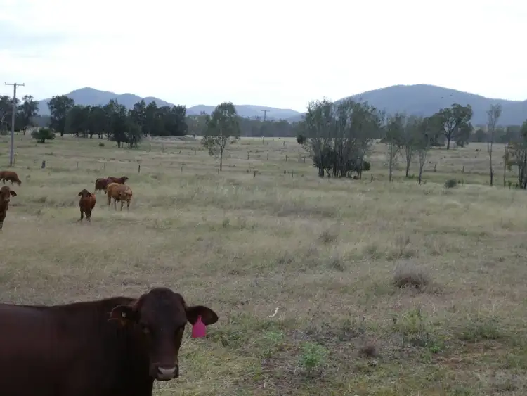 Sixth view of Homely rural property listing, 187 BELAH ROAD, Degilbo QLD 4621