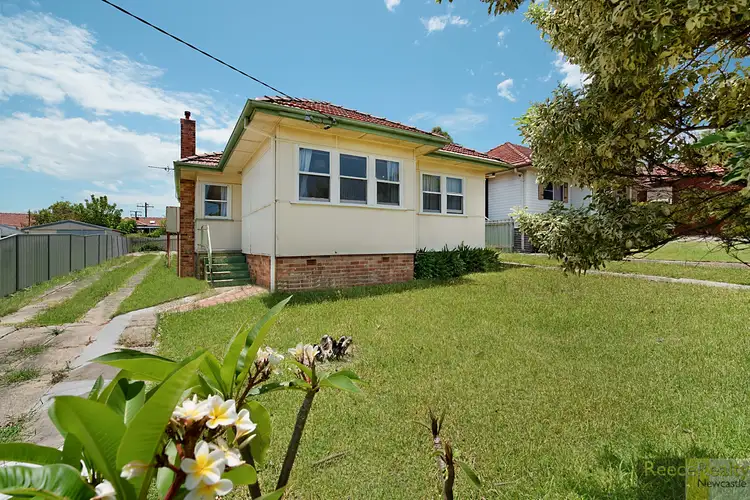 8 Malta Street, Shortland NSW 2307