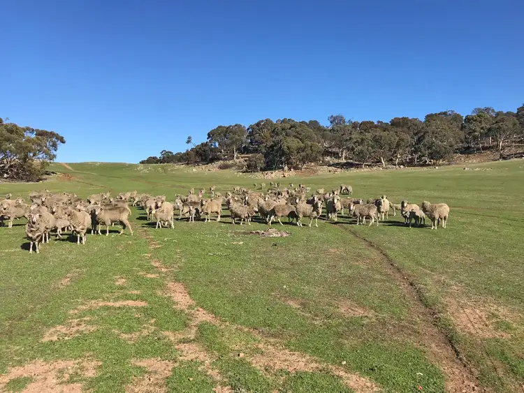 Second view of Homely rural property listing, 101 WEST DALE ROAD, Beverley WA 6304