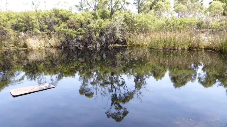 Fourth view of Homely rural property listing, . Barnbougle Road, Bridport TAS 7262