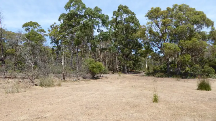 Fifth view of Homely rural property listing, . Barnbougle Road, Bridport TAS 7262