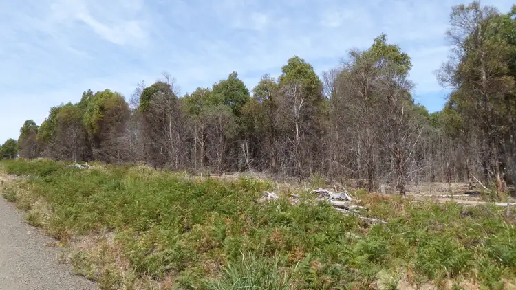 Sixth view of Homely rural property listing, . Barnbougle Road, Bridport TAS 7262