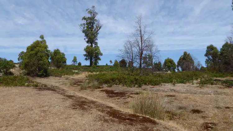 Seventh view of Homely rural property listing, . Barnbougle Road, Bridport TAS 7262