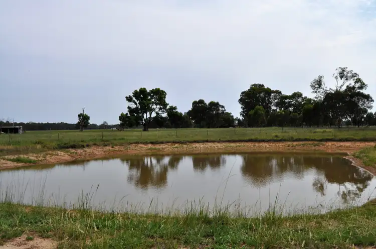 Second view of Homely rural property listing, 703 Cope Road, Gulgong NSW 2852