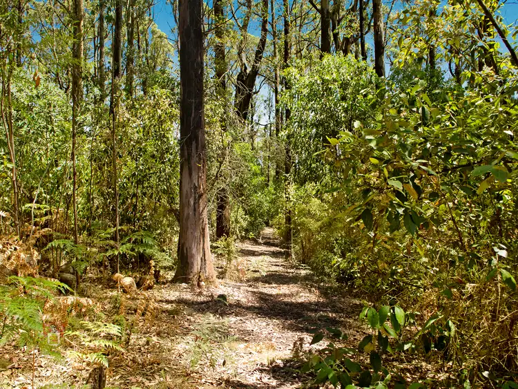 Fifth view of Homely land listing, 143 Deviation Road, Kinglake VIC 3763