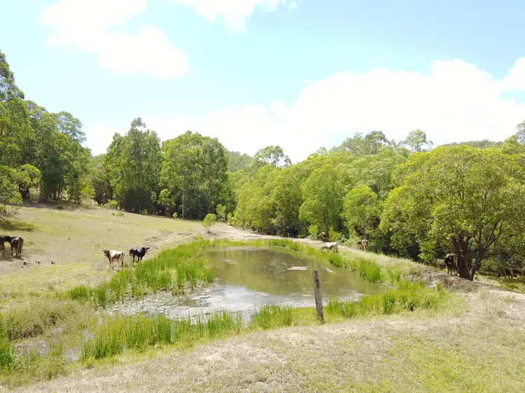 Lot 62 Flat Tops Road, Flat Tops Via, Dungog NSW 2420