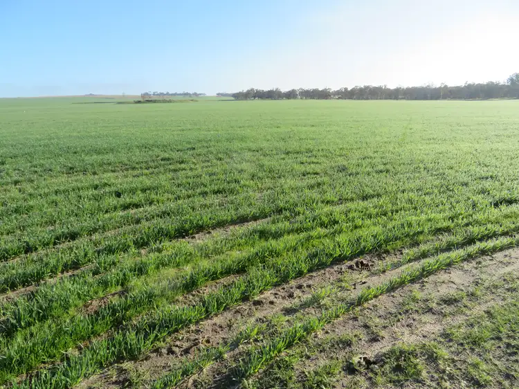 Main view of Homely rural property listing, LOT 7297 Warding Road, York WA 6302