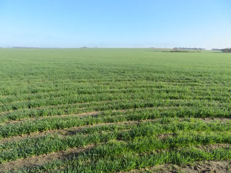 Second view of Homely rural property listing, LOT 7297 Warding Road, York WA 6302