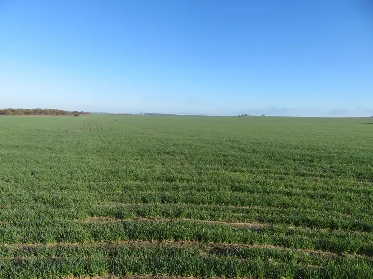 Third view of Homely rural property listing, LOT 7297 Warding Road, York WA 6302