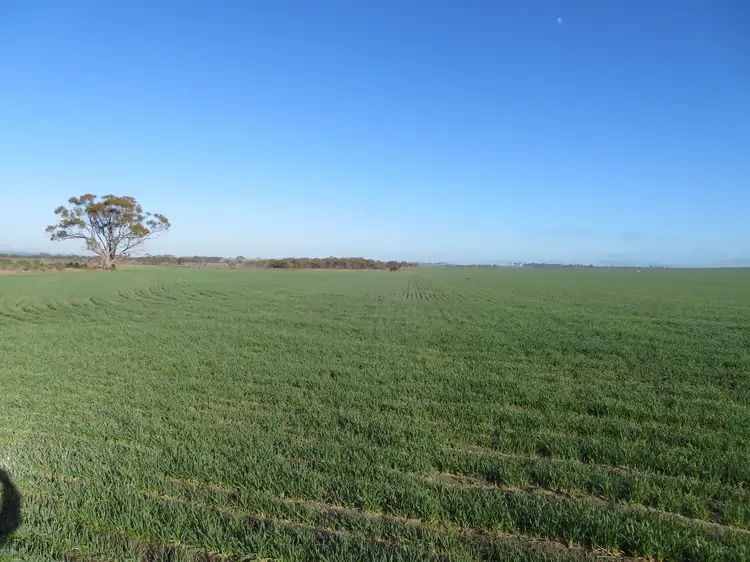 Fourth view of Homely rural property listing, LOT 7297 Warding Road, York WA 6302